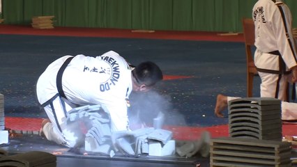 태권도시범단, 남북 첫 합동 공연 / YTN