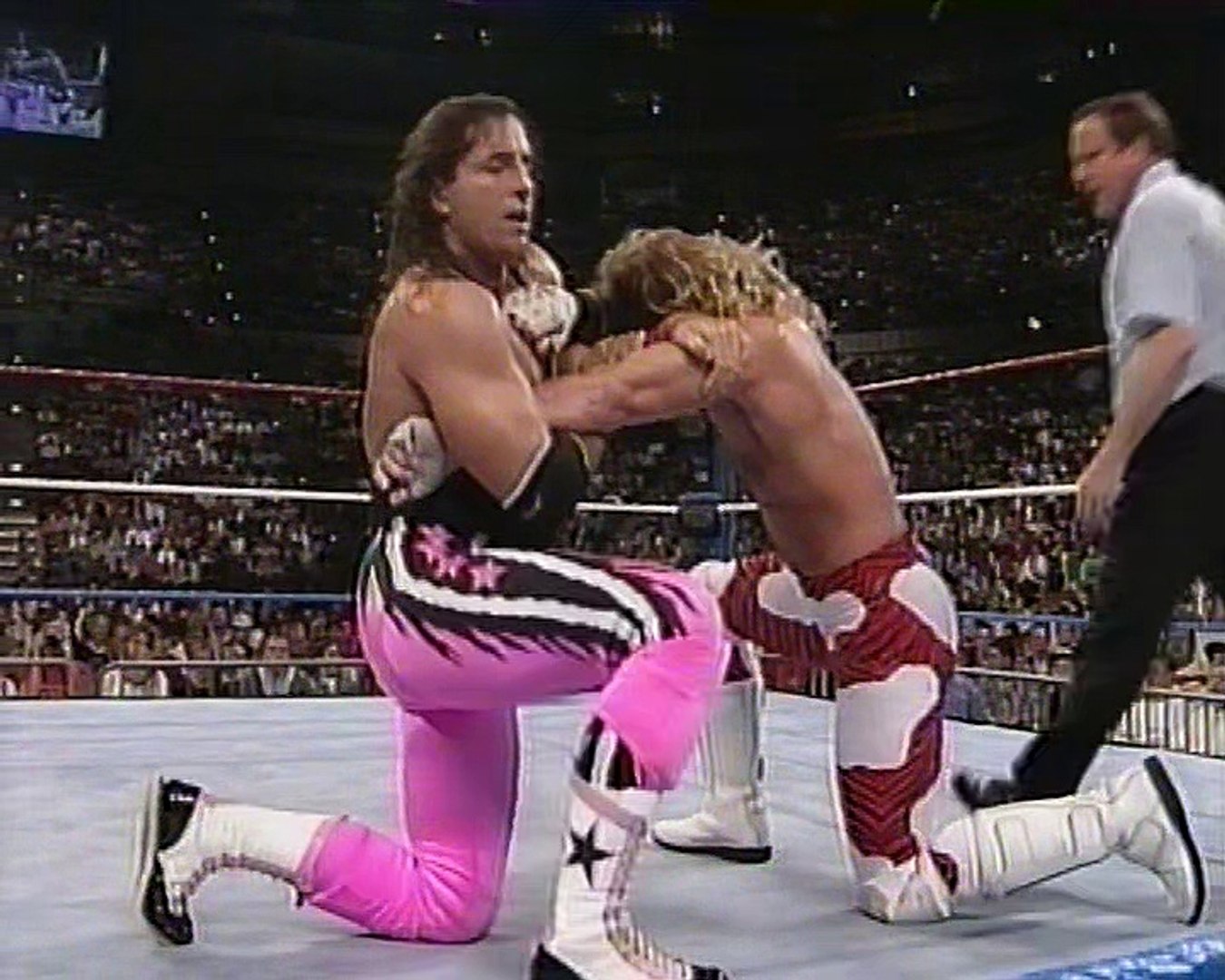 Bret Hart vs. Shawn Michaels in a Ladder Match for the