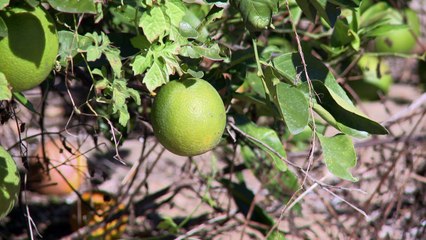 China contraataca a Trump en guerra commercial con EEUU