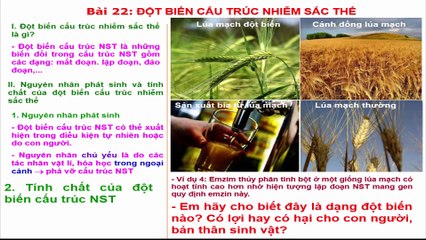 Bai 22 - Đot bien cau truc NST - Bai giang sinh hoc 9
