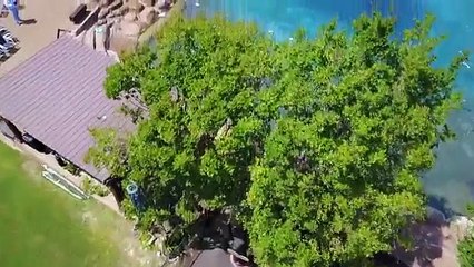 Tennessee man builds 500,000 gallon pool he dreamed of as a child