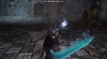 Rstart Vs Ruin Sentinels ( Troll Edition (Troll moments from Dark Souls 2))
