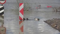 Edirne Tunca Nehri 'Turuncu Alarm' Seviyesine Düştü