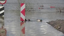 Edirne-Tunca Nehri 'Turuncu Alarm' Seviyesine Düştü Hd