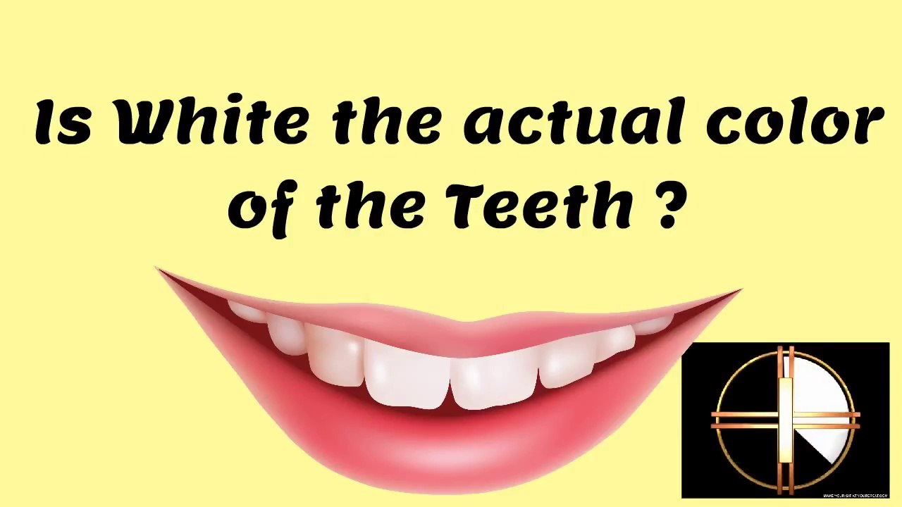 General knowledge Questions and Answers #31 | IPS, IAS, SSC, RRB Entrance Exam | Interview Questions