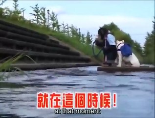 Monkey and Dog Friendship