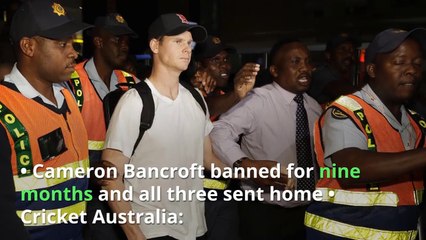 Steve Smith and David Warner banned for a year for ball-tampering