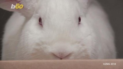 Here are the Best Easter Candies of All Time