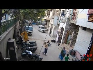 Pitbull Attack In Delhi India - Dog attack in delhi - Animal Attack