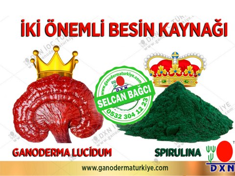 Neden Ganoderma ve Spirulina - Dxn Selcan Bağcı Ekibi #dxntürkiye #dxnnedir #dxn #dxnyorumlar #dxnkahve #dxnürünler #dxnkazanç #dxnganoderma #dxnpaket #dxngano #dxnüyelik #ganoexcel #dxnkahve #ogansia #kyani #aktar #eczane