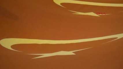 Van, 11 Bin Resimle 'Dünya Çocuk Rekorları' Kitabına Girdi