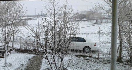 Nisan Ayında Kar Bastırdı! Çiftçileri Don Korkusu Sardı