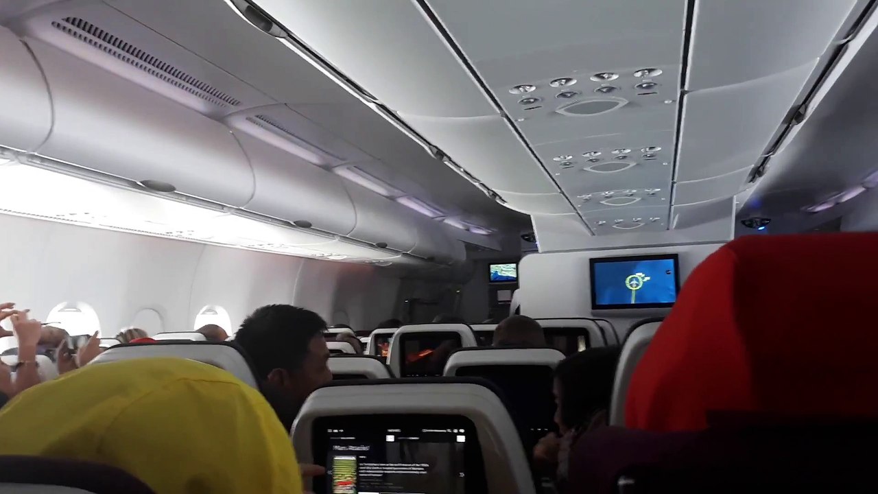 Oiseau dans un avion en plein vol ! Légère panique à bord...