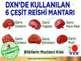 Neden Ganoderma ve Spirulina - Selcan Bağcı Ekibi #dxntürkiye #dxnnedir #dxn #dxnyorumlar #dxnkahve #dxnürünler #dxnkazanç #dxnganoderma #dxnpaket #dxngano #dxnüyelik  #ganoexcel #dxnkahve #ogansia #kyani #aktar #eczane