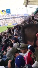 Szybciutka zmiana barw