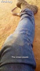 Cet australien se retrouve avec un serpent dans le pantalon