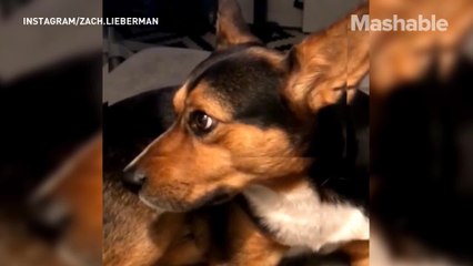 Bring your words to life with the 'Weird Type' AR app