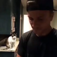 Omg... the cat talks...