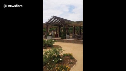 Mom’s reaction to surprise visit from military son will warm your heart
