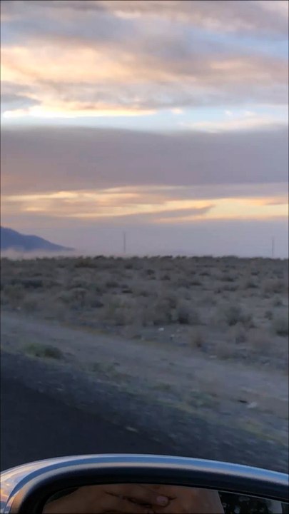Wild Horses Spotted