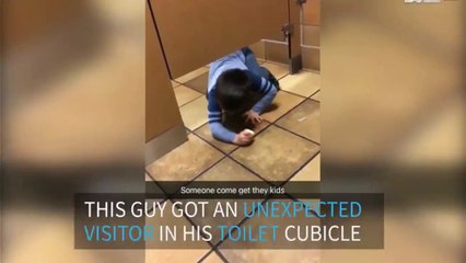 Unexpected visitor shows up in toilet cubicle