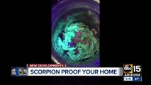 Pest control expert helps Mesa woman with scorpion infested apartment