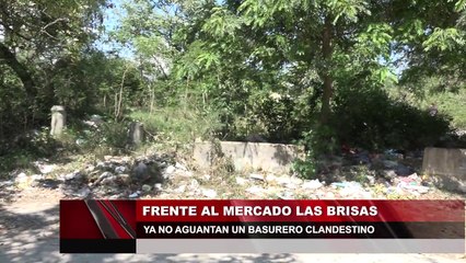 Frente al mercado las brisas ya no aguantan un basurero clandestino