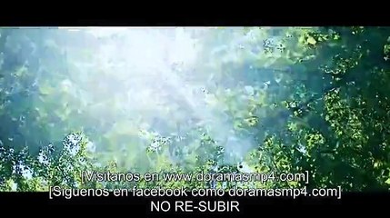12 Capitulo de A Love So Beatiful (Um Amor Lindo Demais)