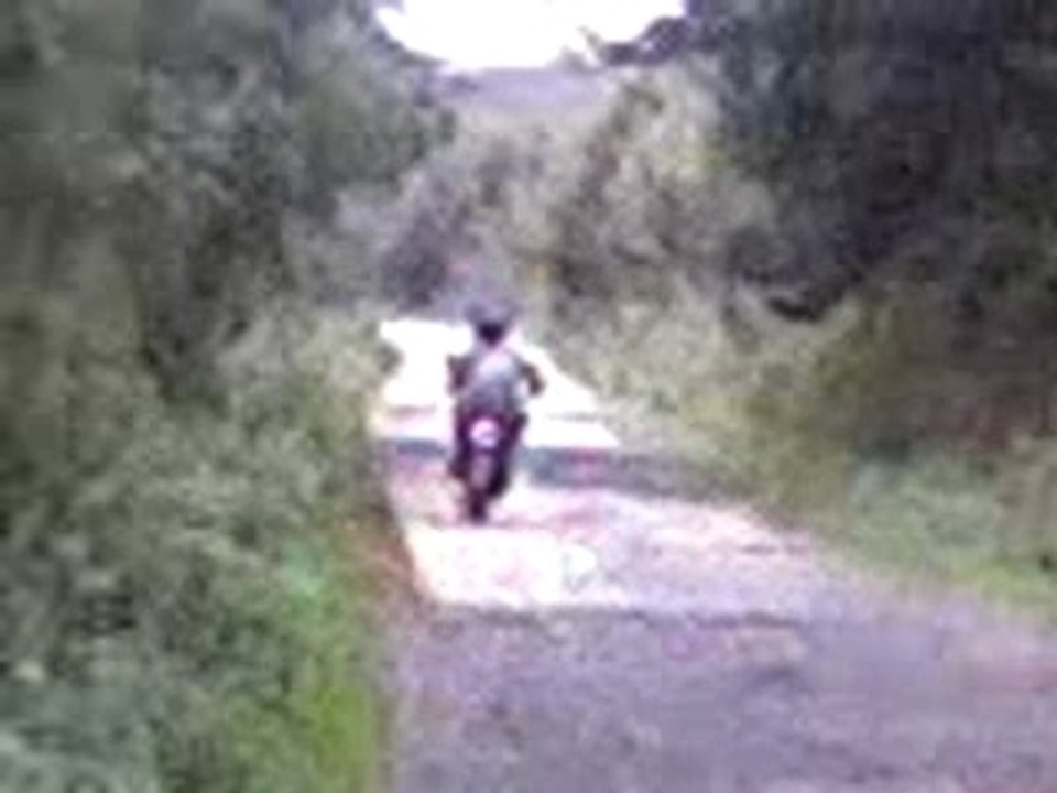 dans le fossé