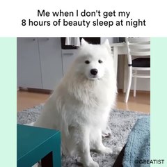 Me when I don't get my 8 hours of beauty sleep at night