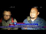 Lumba Lumba Porpoise Ditemukan Mati Akibat Tumpahan Minyak - NET 5