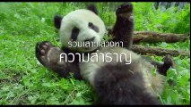 Earth One Amazing Day  หนึ่งวันมหัศจรรย์สัตว์โลก - Official Trailer [พากย์ไทย]