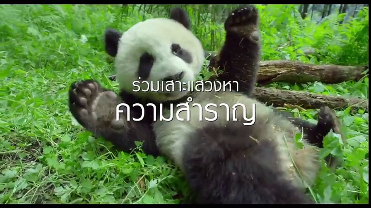 Earth One Amazing Day  หนึ่งวันมหัศจรรย์สัตว์โลก - Official Trailer [พากย์ไทย]