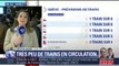 Grève SNCF: TGV, Intercités, TER… les prévisions de trafic pour ce mardi