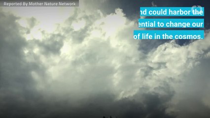 Could The Clouds of Venus Harbor Life?