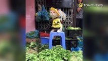 Kucing penjual ikan di Vietnam jadi viral - TomoNews