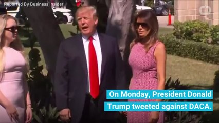 Trump Goes After Democrats On DACA