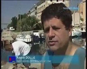 REPORTAGES : Rétrospective été 2005 - première partie - 07 09 05