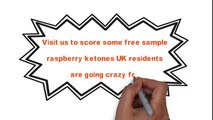 Try The Raspberry Ketones Supplement For Free