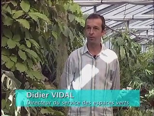 REPORTAGES : 3 questions à Didier VIDAL - 13 09 2006