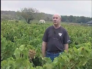 REPORTAGES : Vendanges, 3 questions à Raymond HOULES - 20 09 2006