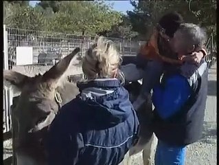 JOURNAL : Journal du lundi 6 novembre 2006