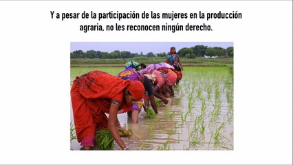 Video 2. Estadística de las brechas de la desiguadad de género