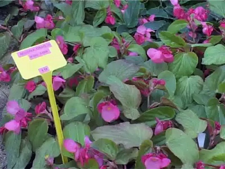 EVENEMENTS : Aux portes de la ville - 19 06 2007