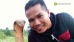 Snake Whisperer dari Malaysia meninggal setelah digigit ular kobra - TomoNews