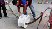 Pria Thailand temukan kadal besar di kamar mandi - TomoNews