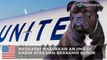 United Airlines letakkan anjing di kabin atas, anjingnya … - TomoNews
