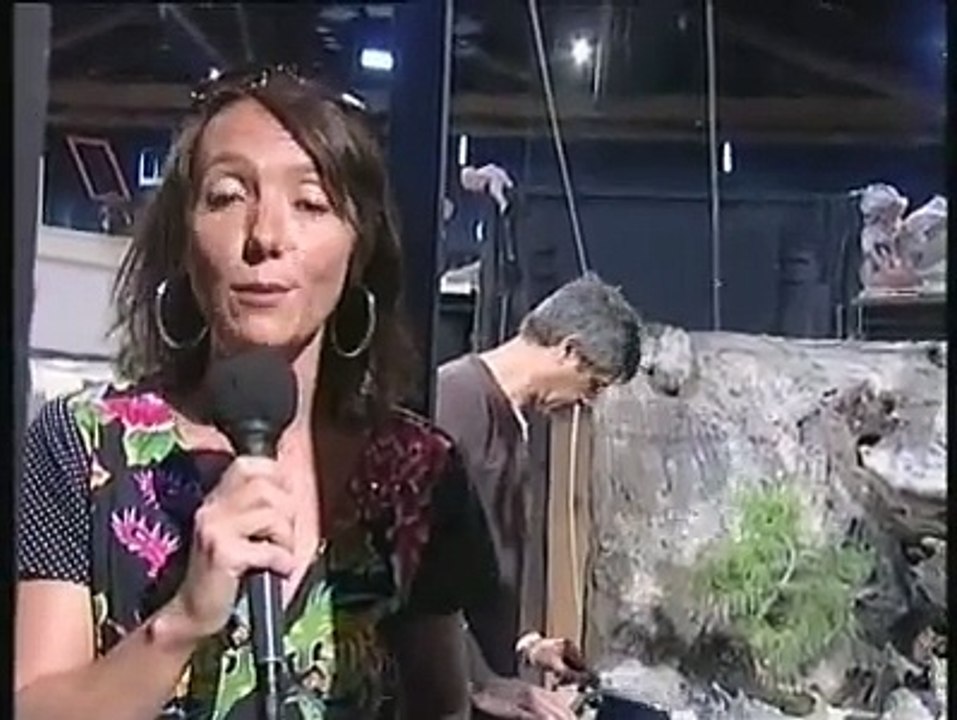 JOURNAL : Journal du mercredi 21 mai 2008