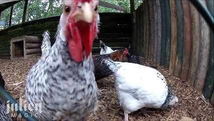 Flowers VS ARMY PRANK -Julien Magic