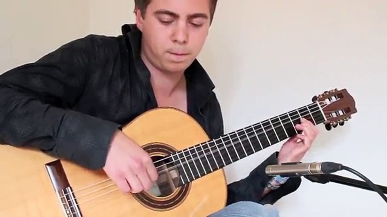 Wasted Years (Iron Maiden) Acoustic - Thomas Zw...